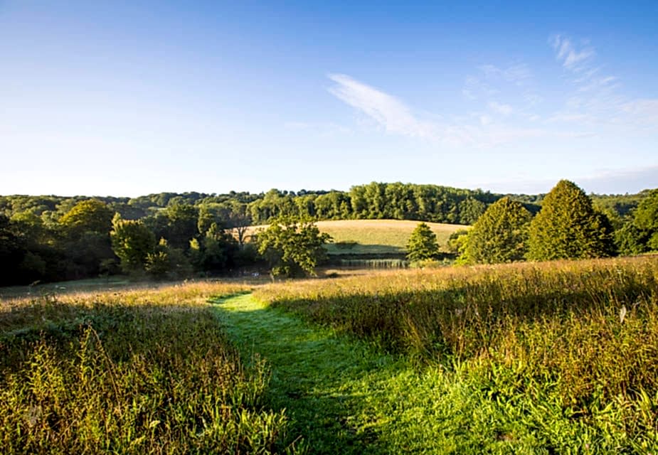 Sunlit meadow and rolling countryside surrounding Gravetye Manor, with a mown path leading through tall grasses toward woodland and open fields under a clear blue sky.