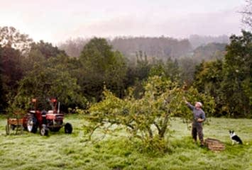 Harvest