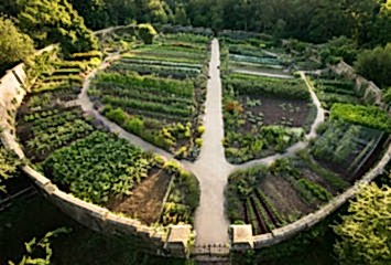 Ariel drone shot of the kitchens gardens at Gravetye Manor. White pathways weave between rows of crops and plants. 