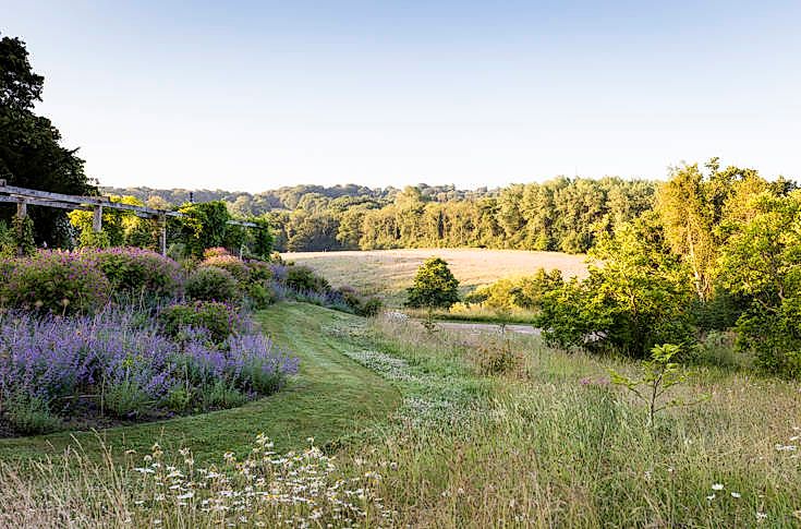 Scenic view of Gravetye Manor’s wildflower meadows and surrounding countryside in West Sussex.
