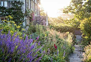 Rows of purple flower lining the pathways next to the Manor.